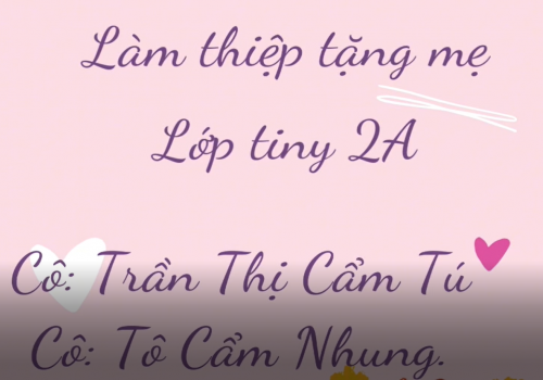 Happy Vietnamese Women's Day (TINY 2A)