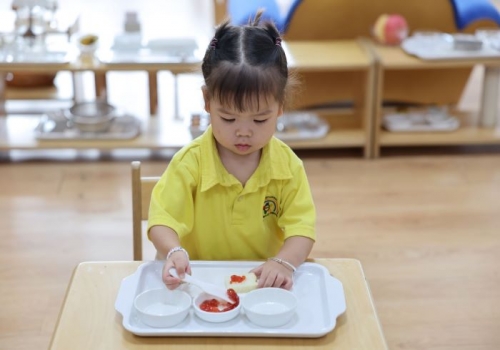 Chương trình Giáo dục Montessori dành cho trẻ từ 0-3 tuổi